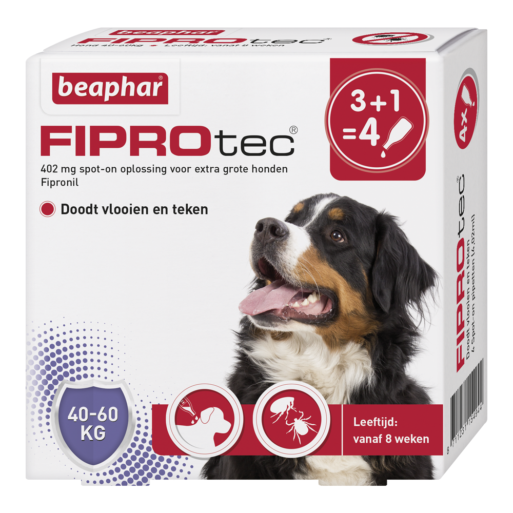 Abstractie willekeurig wit Beaphar Fiprotec Spot-on Hond - 40 tot 60kg - 4 stuks - Anti vlooien en  tekenmiddel