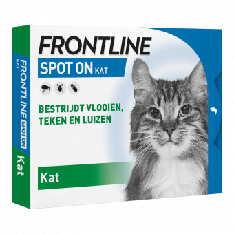 Frontline Spot on Kat - 4 pipet - Anti Vlooein, teken en luizen