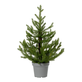 Norway mini kunstkerstboom - H90xD63cm