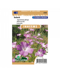 Bolderik - Agrostemma githago - Sluis Garden - Zaden