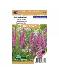 Grote kattenstaart - Lythrum salicaria - Sluis Garden - Zaden
