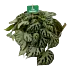 Begonia Silver Jewell - p15 h20 - kamerplant - Groene kamerplanten - biezen voor