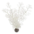 biOrb hoornkoraal - M - Wit