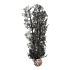 biOrb hoornkoraal - M - Zwart