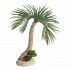 biOrb palmboom Seychelles - L