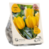 Flower my Life - Yellow Tulipa - 15st - Bloembollen - Baltus