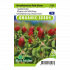 Green Manure Crop Red Clover - Sluis Garden - Zaden