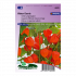 Lampionplant Winter Cherrie (Physalis) - Sluis Garden - Zaden