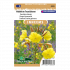 Middelste Teunisbloem - Oenothera biennis - Sluis Garden - Zaden