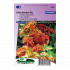 Siernetel Rainbow  mix, Market Growers quality (Coleus) - Sluis Garden - Zaden