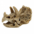 Superfish Skull Triceratops S
