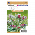 Veldhondstong - Cynoglossum officinale - Sluis Garden - Zaden