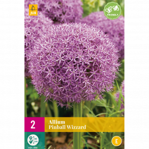 Allium Pinball Wizard - 2st - Bloembollen - JUB Holland