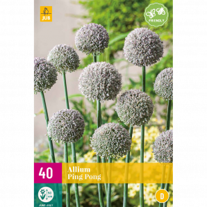 Allium Ping Pong - 40st - Bloembollen - JUB Holland