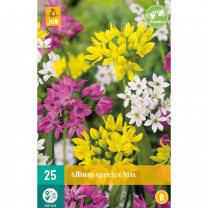 Allium species Mix - 25st - Bloembollen - JUB Holland