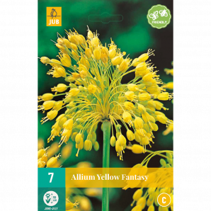 Allium Yellow Fantasy - 7st - Bloembollen - JUB Holland