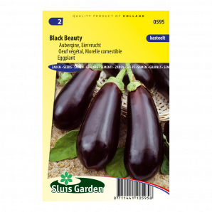 Aubergine Black Beauty - Sluis Garden - Zaden