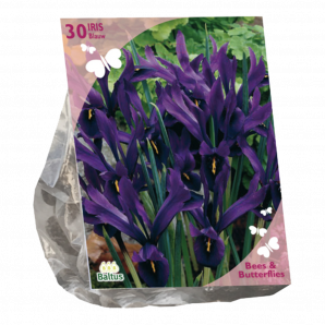 Bees & Butterflies - Iris Reticulata - Blauw - 30st - Bloembollen - Baltus