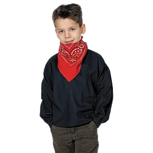 Boerenkiel - 140/152 - carnavalskleding - Carnavalskleding kinderen - biezen voor