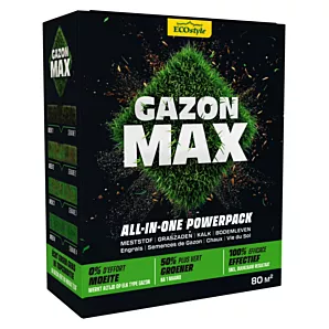 EcoStyle Gazon max 4kg - 80m2 - Gazonmeststof