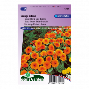 Goudsbloem Orange Gitana - Sluis Garden - Zaden