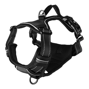 Harnas Balou zwart - M - 50-65cm x 25mm - Hondenharnas