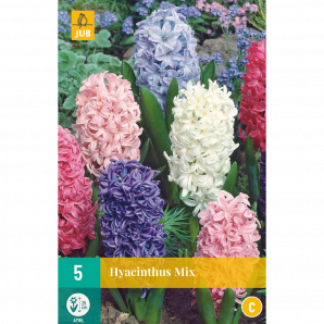 Hyacinthus Mix - 5st - Bloembollen - JUB Holland