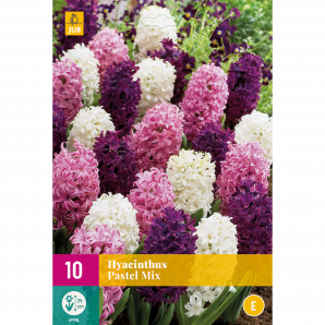 Hyacinthus Pastel Mix - 10st - Bloembollen - JUB Holland