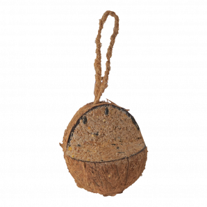 Kejo kokosnoot gevuld 3/4 model.