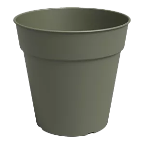 Kweekpot Madagascar - 7