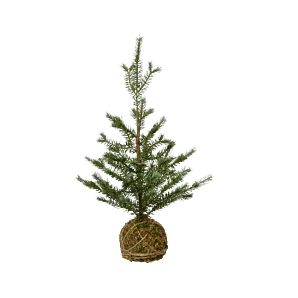 Mini kunstkerstboom Nature op mos bal groen - H60xD35cm