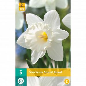 Narcissus Mount Hood - 5st - Bloembollen - JUB Holland