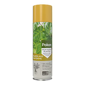 Pokon Bladglans 250ml - Kamerplanten voeding