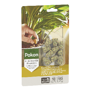Pokon Kamerplanten Voedingskegels 10 stuks - Kamerplanten voeding