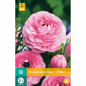 Ranunculus Roze - 10st - Bloembollen - JUB Holland