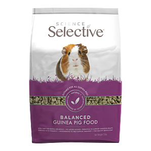 Selective Guinea Pig - Caviavoer - 1