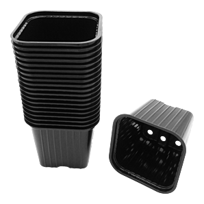 Stekpotjes H6 x 7 x 7cm zwart - 20 stuks - Nature
