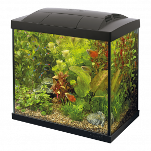 Superfish Aquarium Start 30 goldfish kit - Zwart