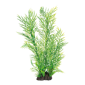 Superfish Art Plant 40cm Ceratopteris