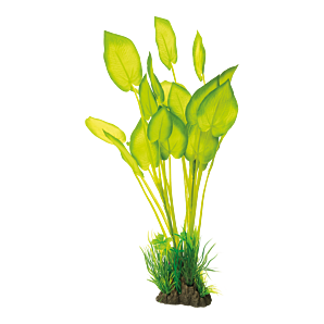 Superfish Art Plant 40cm Echinodorus