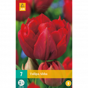 Tulipa Abba - 7st - Bloembollen - JUB Holland