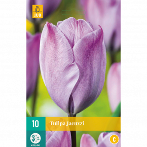 Tulipa Jacuzzi - 10st - Bloembollen - JUB Holland