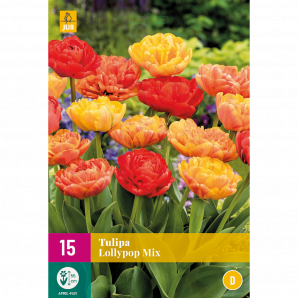 Tulipa Lollypop Mix - 15st - Bloembollen - JUB Holland