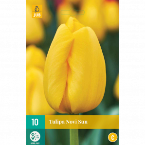 Tulipa Novi Sun - 10st - Bloembollen - JUB Holland