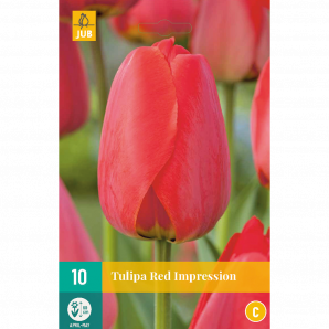 Tulipa Red Impression - 10st - Bloembollen - JUB Holland