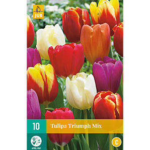 Tulipa Triumph Mix - 10st - Bloembollen - JUB Holland
